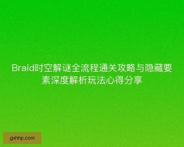 Braid时空解谜全流程通关攻略与隐藏要素深度解析玩法心得分享