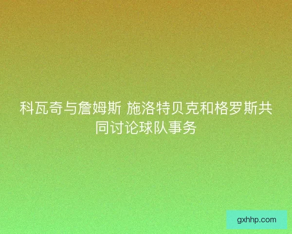 科瓦奇与詹姆斯 施洛特贝克和格罗斯共同讨论球队事务
