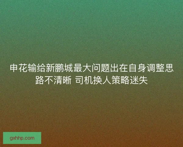申花输给新鹏城最大问题出在自身调整思路不清晰 司机换人策略迷失